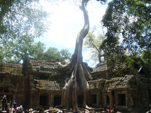 タ・プローム 寺院