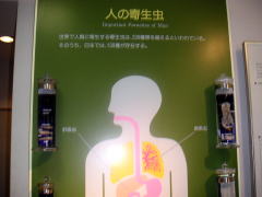 目黒寄生虫館