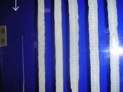 目黒寄生虫館